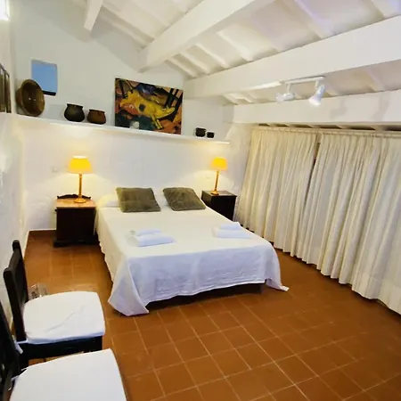 Gospodarstwo wiejskie Toni