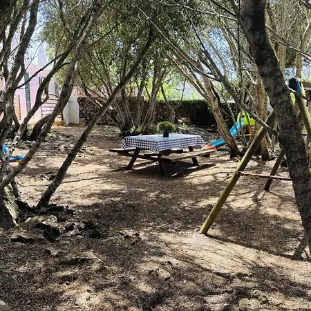 Toni Gospodarstwo wiejskie *