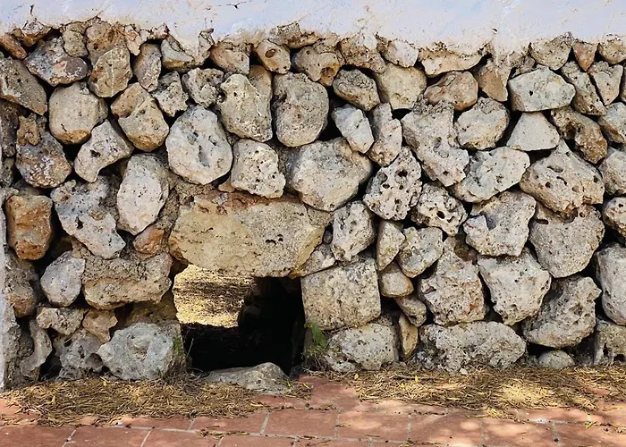 בית כפרי Toni *