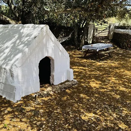 Toni Venkovský dům Alaior