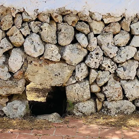 Venkovský dům Toni *